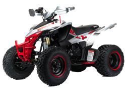 Квадроцикл подростковый MotoLand ATV 250 Rally