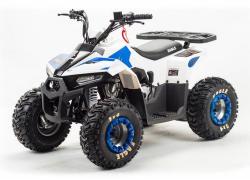 Квадроцикл подростковый MotoLand ATV EAGLE 110