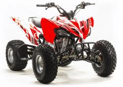 Квадроцикл MotoLand ATV 125S