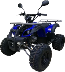 Квадроцикл MOTAX ATV Grizlik Lux 125сс