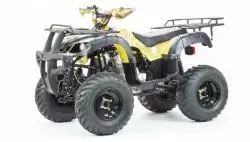 Квадроцикл подростковый MotoLand ATV ADVENTURE 250