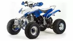 Квадроцикл подростковый MotoLand ATV 250 DAKAR