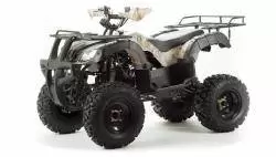 Квадроцикл подростковый MotoLand ATV ALL ROAD 200