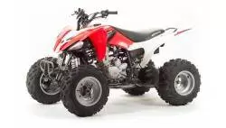 Квадроцикл подростковый MotoLand ATV 250S