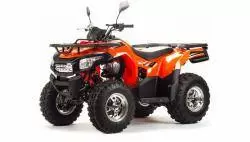 Квадроцикл подростковый MotoLand ATV MAX 200