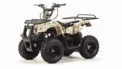 Квадроцикл подростковый MotoLand ATV RIDER 110