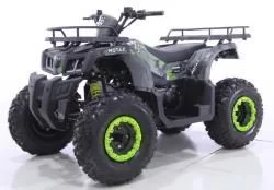 Квадроцикл MOTAX ATV Grizlik T 200