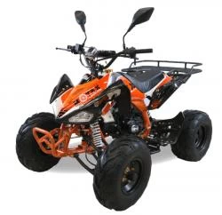 Квадроцикл MOTAX ATV T-Rex-LUX 125 сс